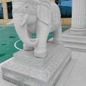 资阳 白麻花岗岩动物异形石雕-大象