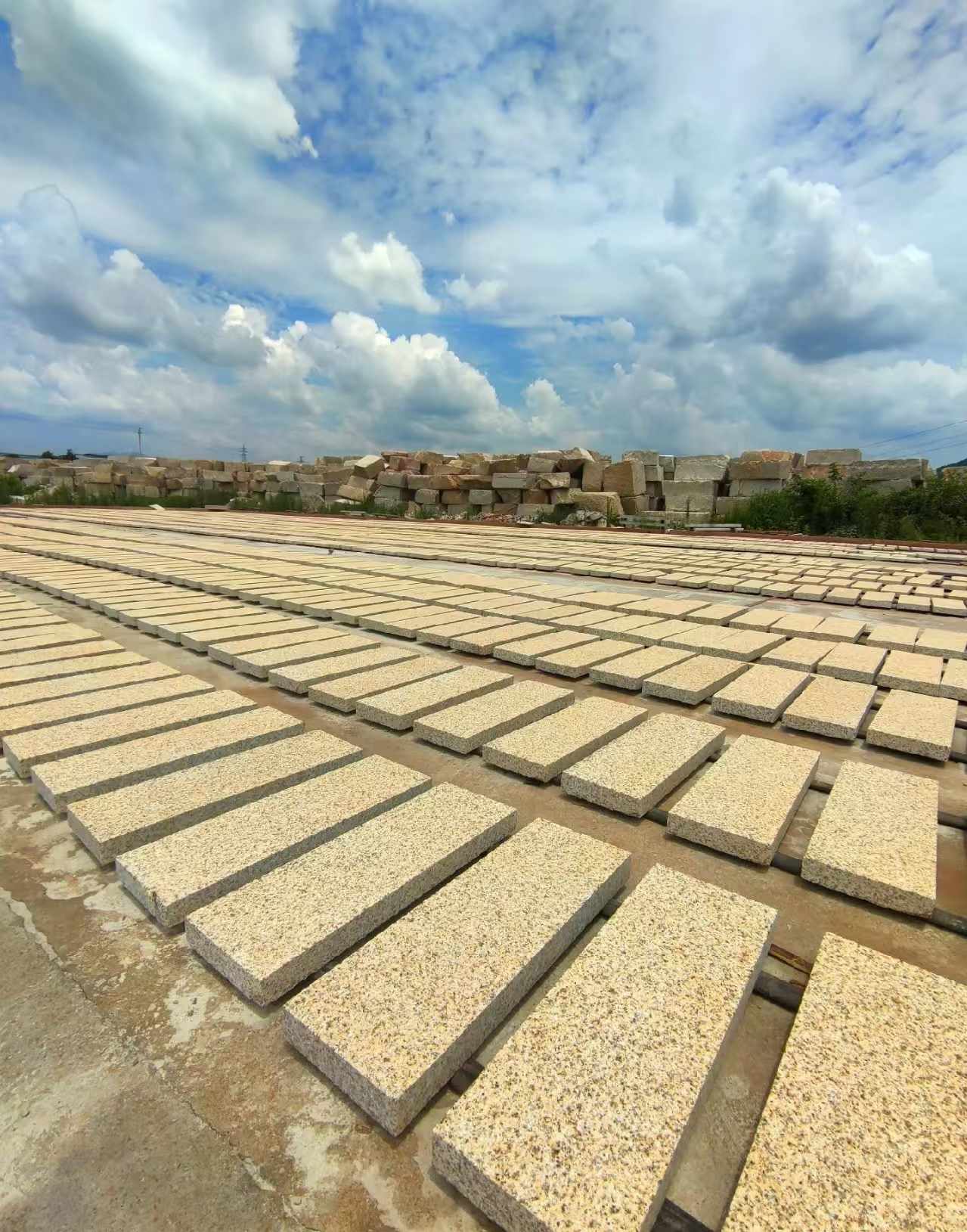 资阳 黄金麻荔枝面花岗岩石材地铺石防护中