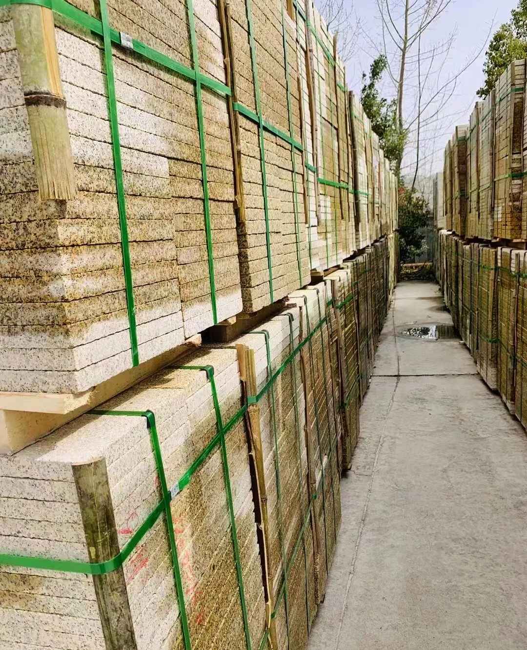 资阳 黄金麻花岗岩荔枝面地铺石