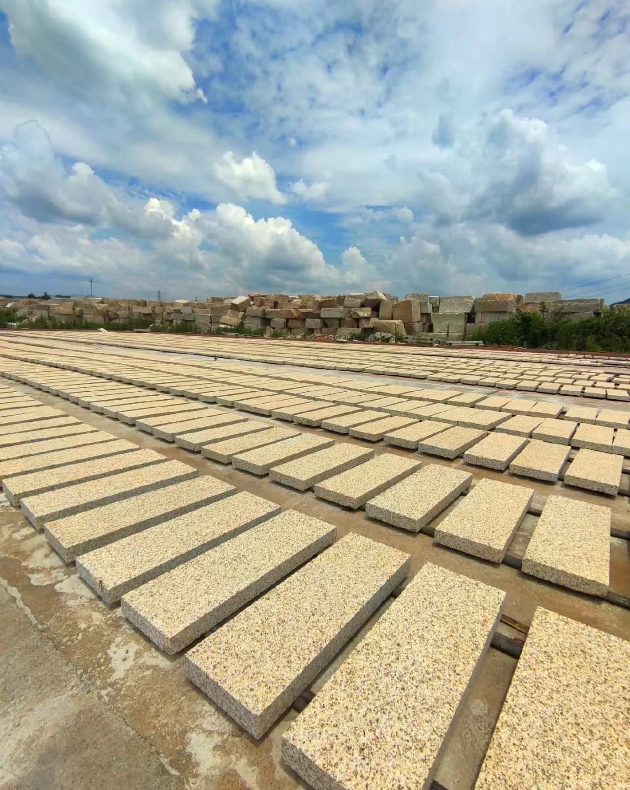 资阳 黄金麻花岗岩荔枝面地铺石防护中